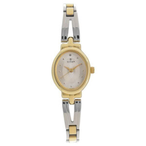 titan quartz analog silver dial two tone stainless steel strap watch for women